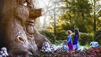 Toegangskaartje voor de Efteling en een rondvaart van 1 uur