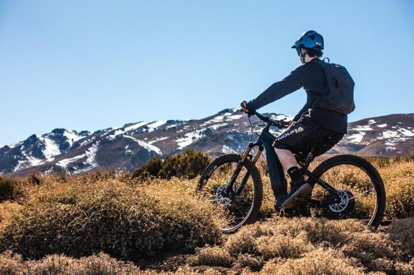 Private Guided Mountain Bike tour in E-Bike from Santiago in the Andes