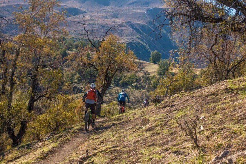 Private Guided Mountain Bike tour in E-Bike from Santiago in the Andes