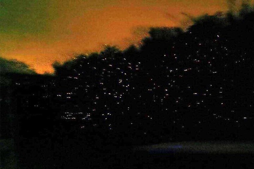 Firefly Boat Ride