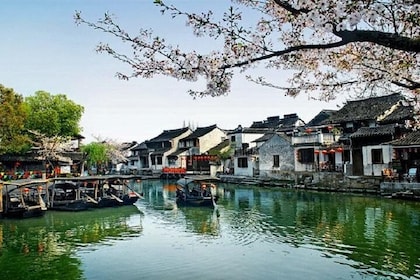 2-Day Hangzhou and Wuzhen Watertown Private Tour from Shanghai