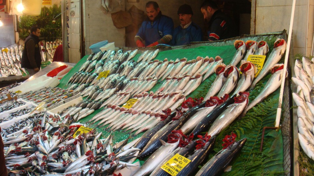Fish on display at a market in Istanbul 