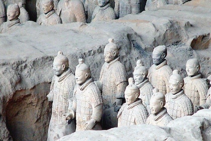 1-Day Xi'an Mini Group Tour: Terracotta Army, Pagoda, Muslim Bazaar, 1-6 Gu...