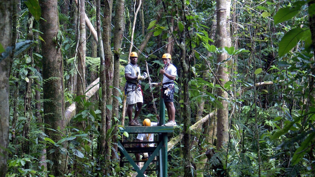 zipliners on strating platform in fiji