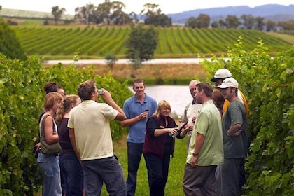 Horseback Riding, Wine Tasting, and Cooking Class in Tuscany