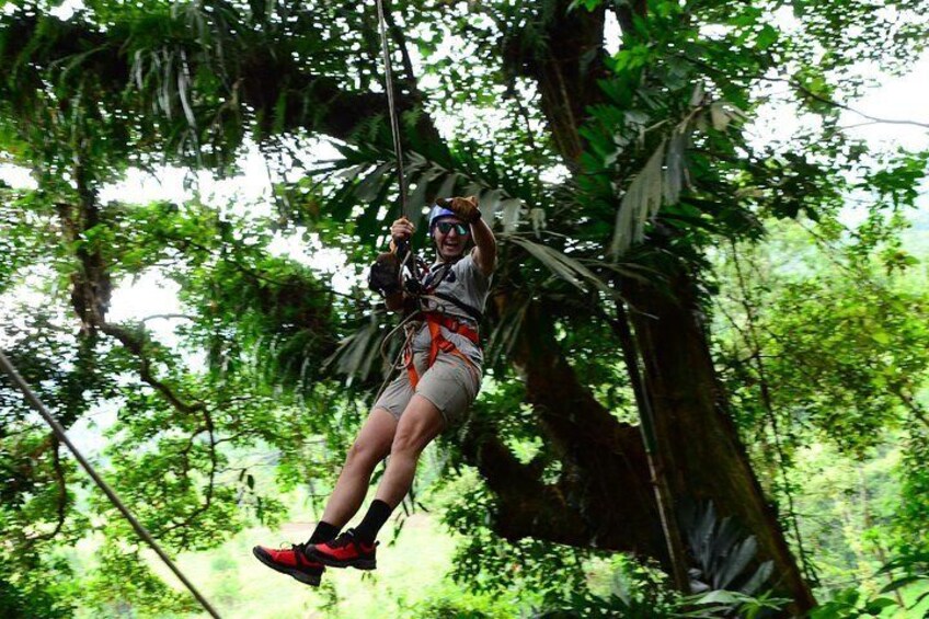Tarzan Swing Adventure