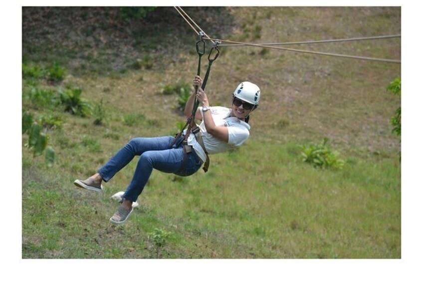 Zip-Line /Monkey and Sloth Sanctuary /west beach 