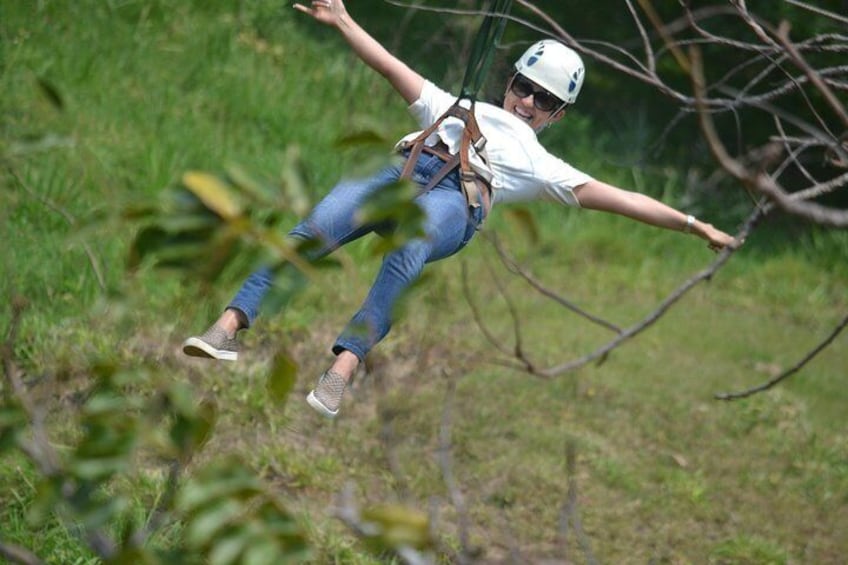 Zip-Line /Monkey and Sloth Sanctuary /west beach 