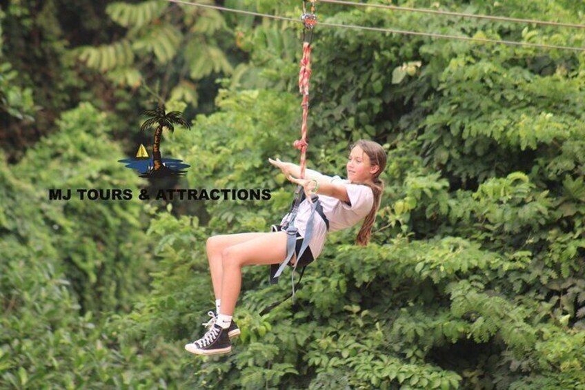 Zip-Line /Monkey and Sloth Sanctuary /west beach 