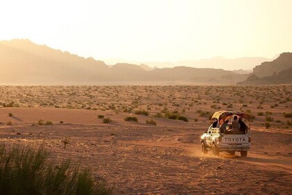Wadi Rum: 3 Hour Morning Tour