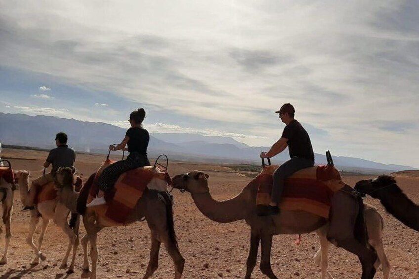 Atlas Mountains and Three Valleys & Waterfalls with Camel ride Day Trip