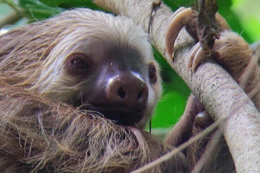 Cahuita National Park Hiking