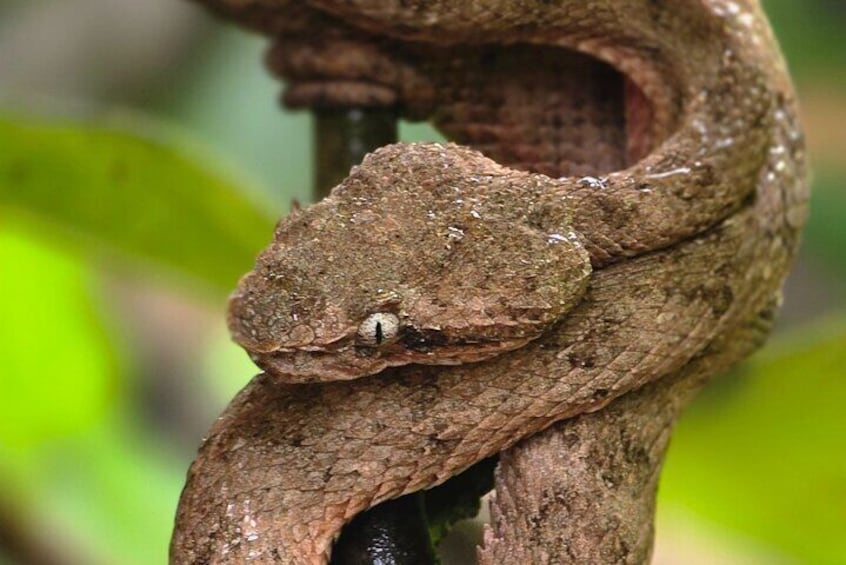 Cahuita National Park Hiking