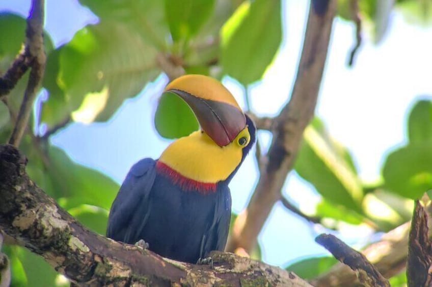 Cahuita National Park Hiking