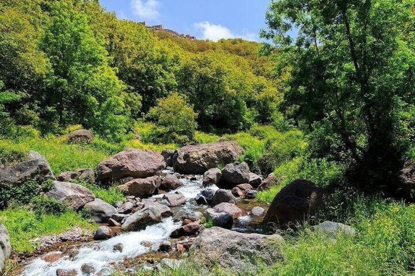 Premium Atlas Mountains & Berber Village Day Trip with Camel Ride