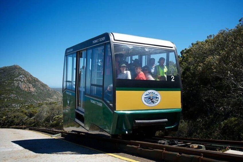 Cape Point Flying Dutchman Funicular Ticket (One way Down)