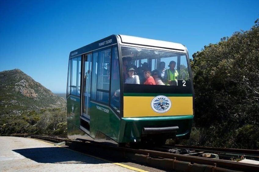 Cape Point Flying Dutchman Funicular Ticket (One way Down)