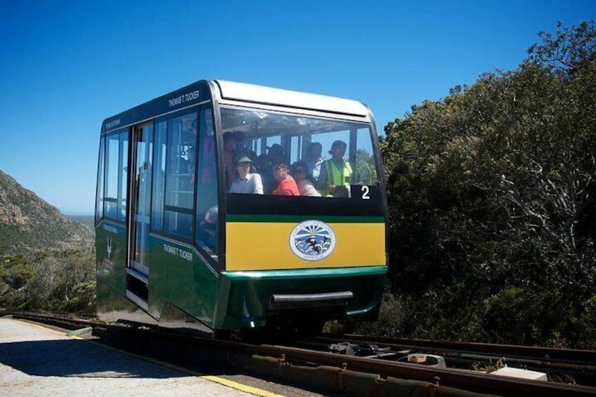 Cape Point Flying Dutchman Funicular Ticket (One way Down)