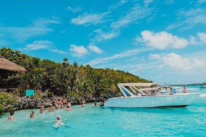 5 Islands Speedboat Cruise incl. Snorkeling in Blue Bay + Lunch at Ile aux ...