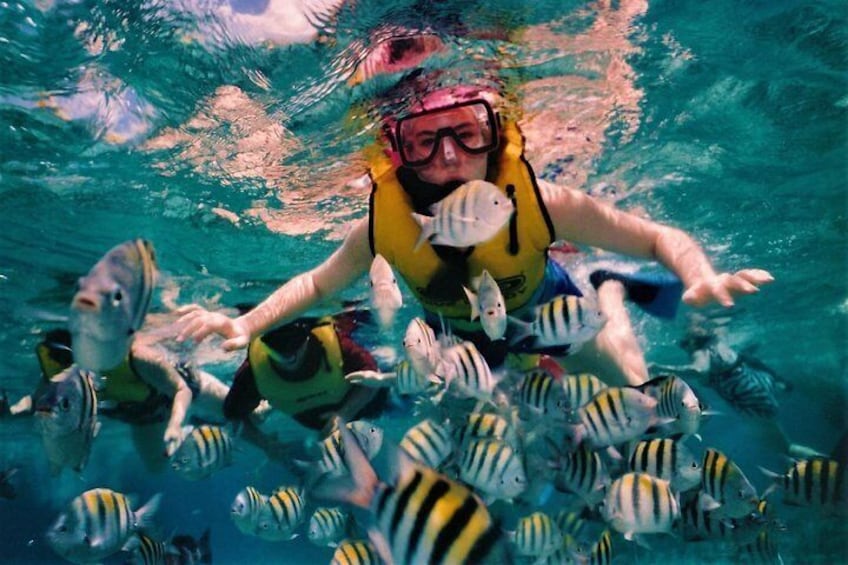 Free Snorkelling Session