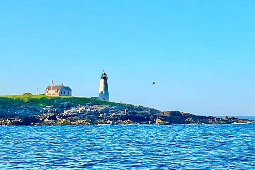 Luxury Catamaran Sailing Charters in Maine