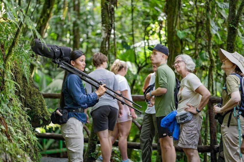 Mistico Park Hanging Bridges Guided Tour