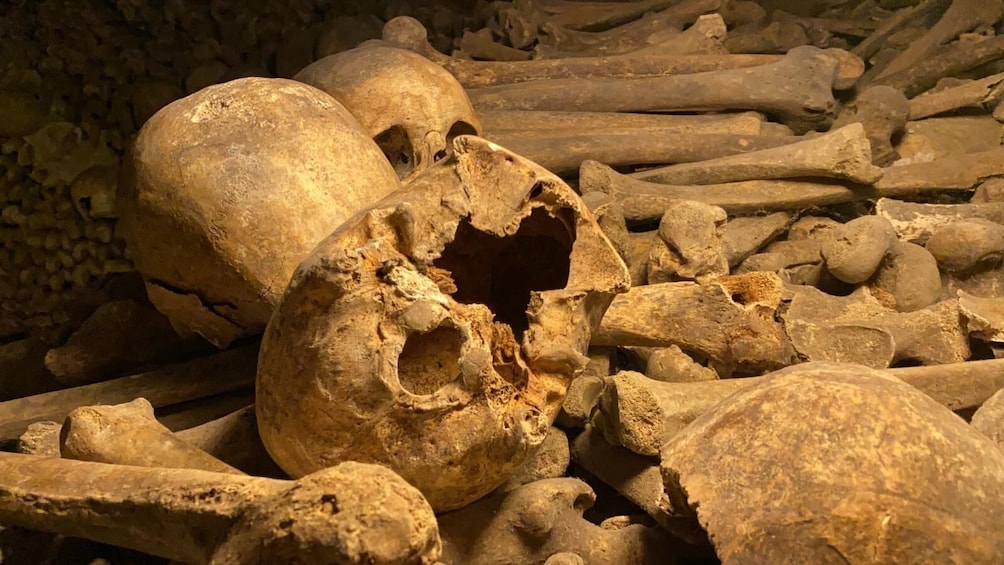 Paris Catacombs Semi-Private Tour