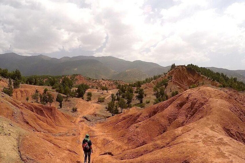 Ait Ben Haddou Kasbahs & Atlas Mountains - Day trip from Marrakech - private