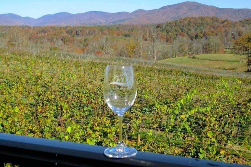North Georgia Wine Country Tour from Atlanta