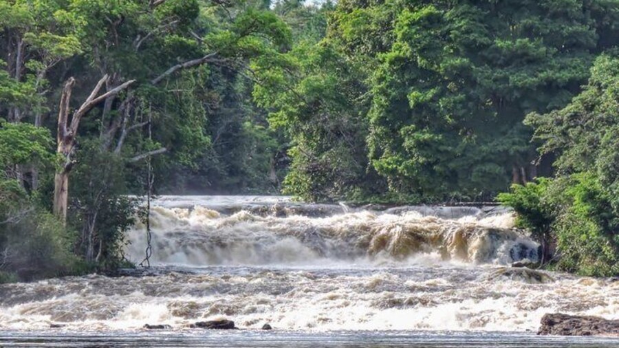 Arapiuns River Aruã waterfalls Selvagem Tours