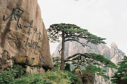 3-Day private tour to Huangshan(Yellow Mountain) and Hong Village from Shan...