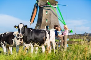 Charme der Niederlande – All-inclusive-Tagesausflug ab Amsterdam Charme der Niederlande – All-inclusive-Tagesausflug ab Amsterdam