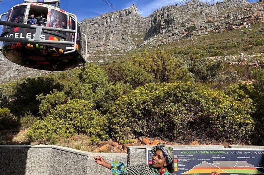 Table Mountain