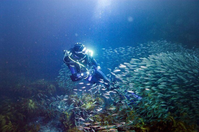 Advanced Open Water Course