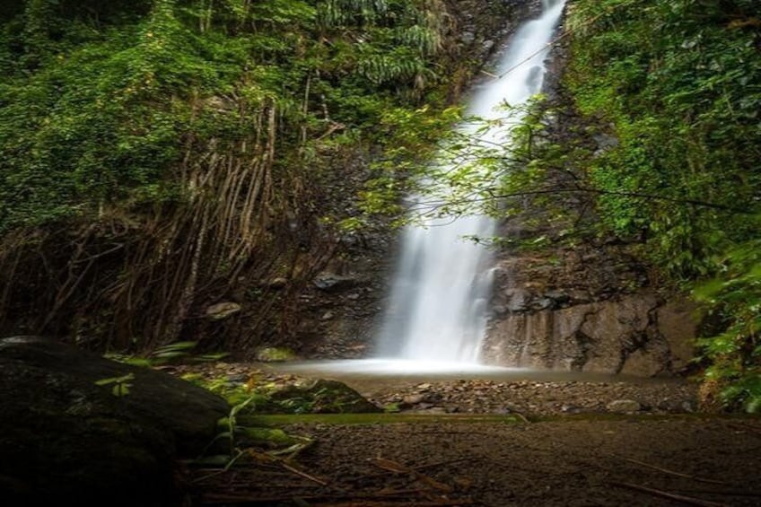 Private Tour of Dark View Falls