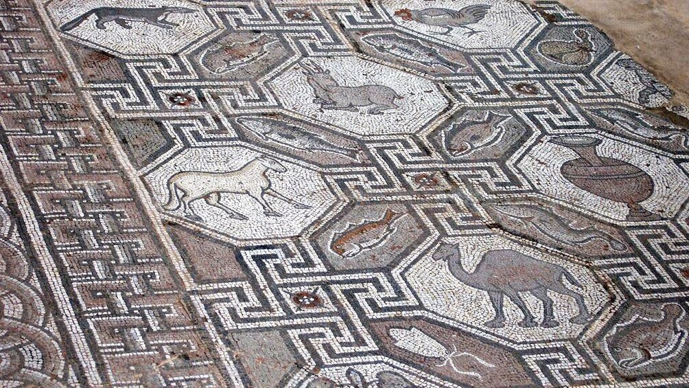Animal mosaic at the Delphi Museum