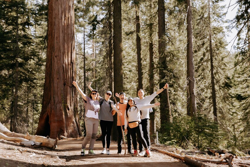 San Francisco: One day Yosemite and Giant Sequoia Tour