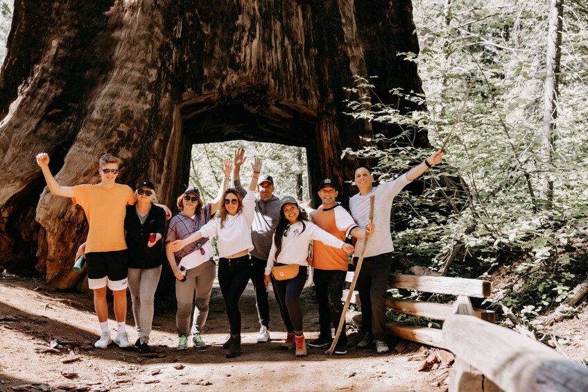 San Francisco: One day Yosemite and Giant Sequoia Tour