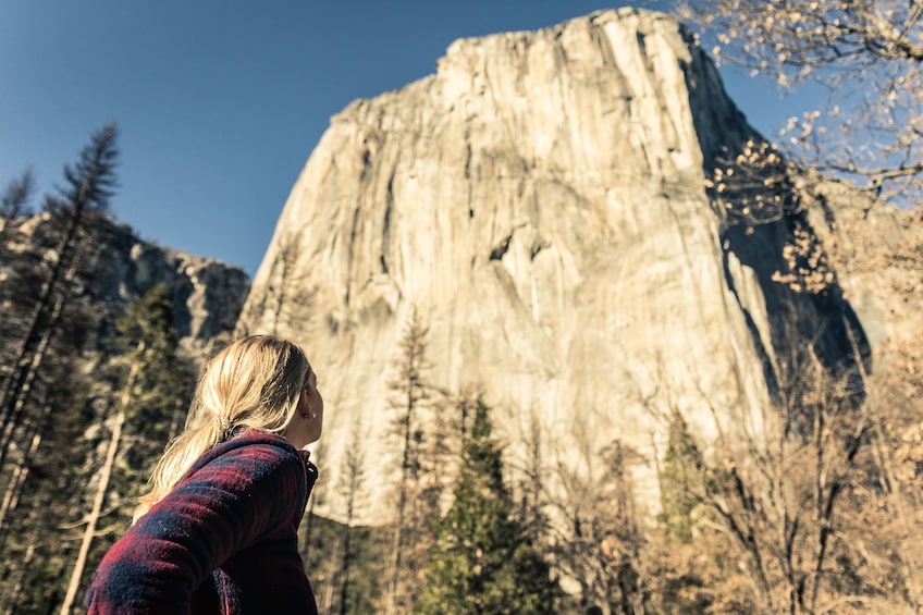Total Yosemite Experience with Giant Sequoias