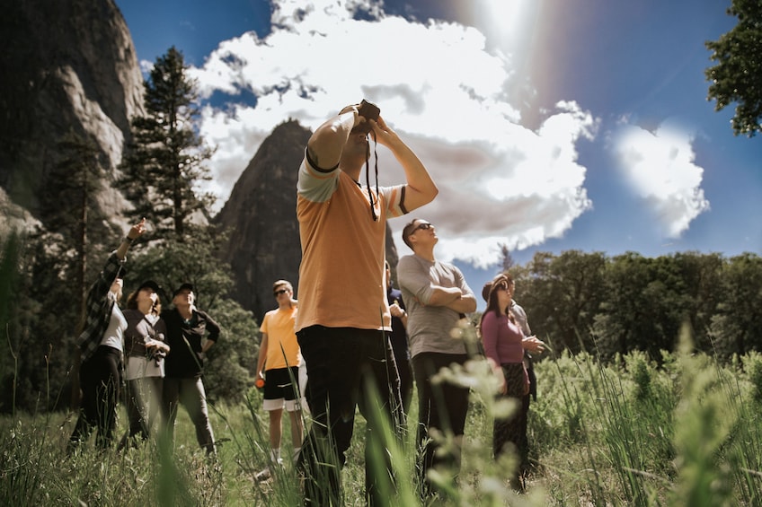 San Francisco: One day Yosemite and Giant Sequoia Tour