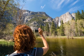 Total Yosemite Experience with Giant Sequoias