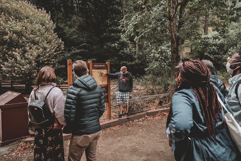 Redwoods & Wine Country Escape to Sonoma & Napa with Optional Gourmet Lunch