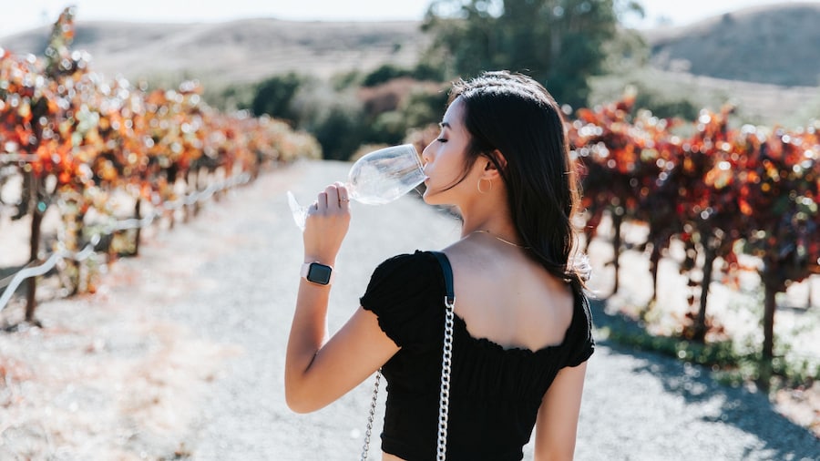 Redwoods & Wine Country Escape to Sonoma & Napa with Optional Gourmet Lunch