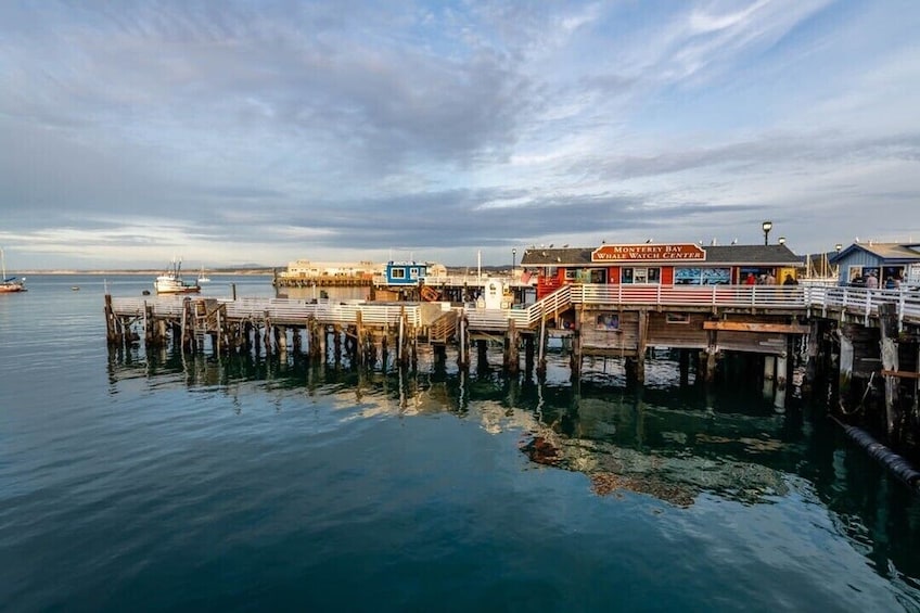 San Francisco: Monterey & Carmel Tour