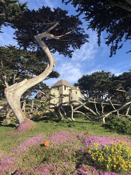 San Francisco: Monterey & Carmel Tour