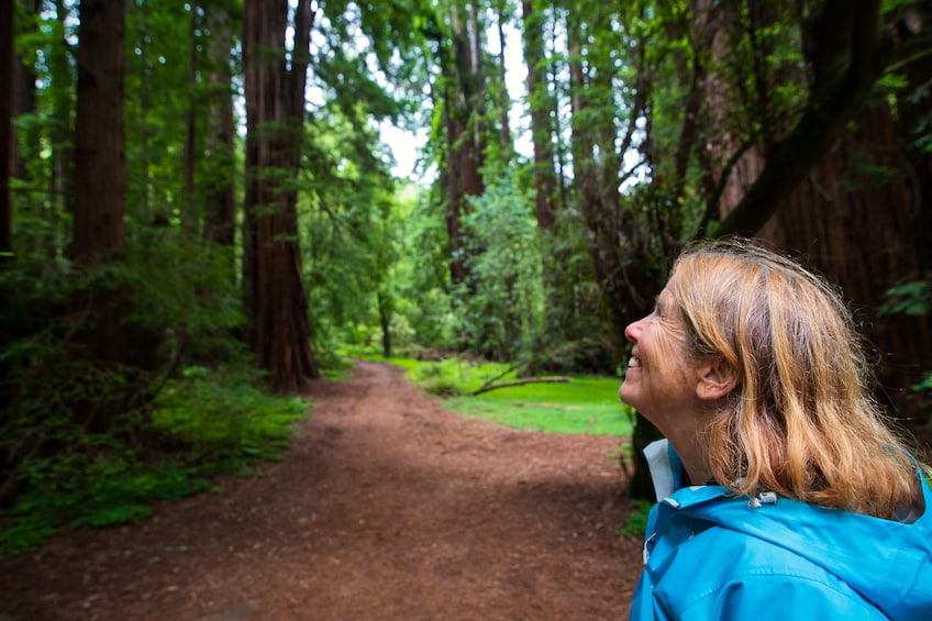 Muir Woods Redwood Forest Tour with optional ferry