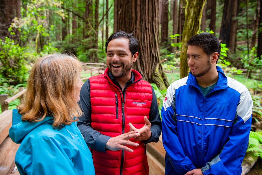 Muir Woods Redwood Forest Tour with optional ferry