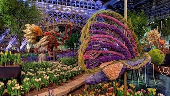 Eintritt Zur Philadelphia Flower Show 2020