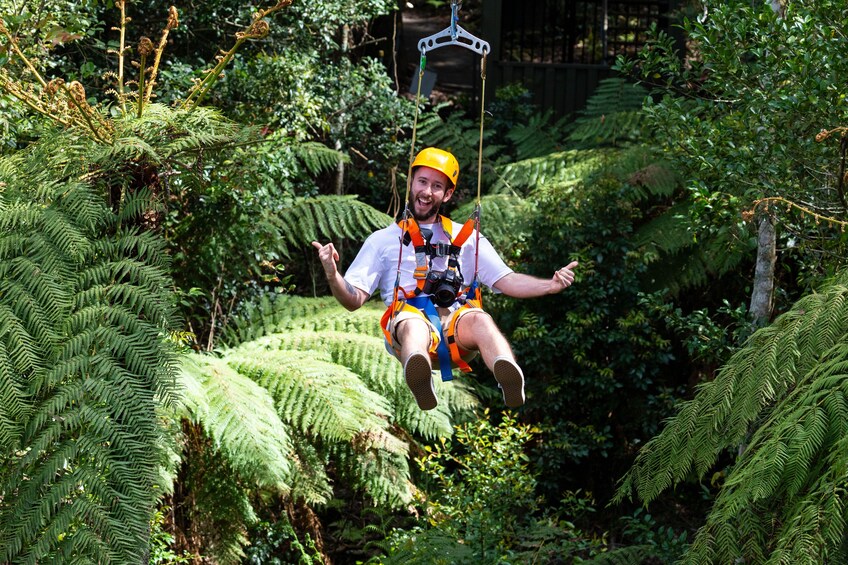 Activity Illawarra Zip Line Adventure Tour