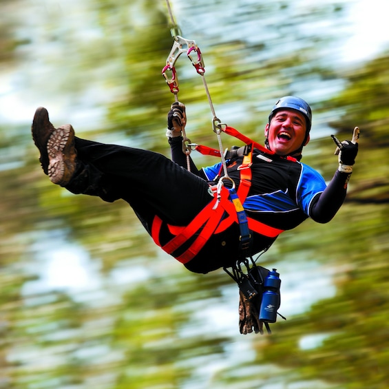 Activity Illawarra Zip Line Adventure Tour